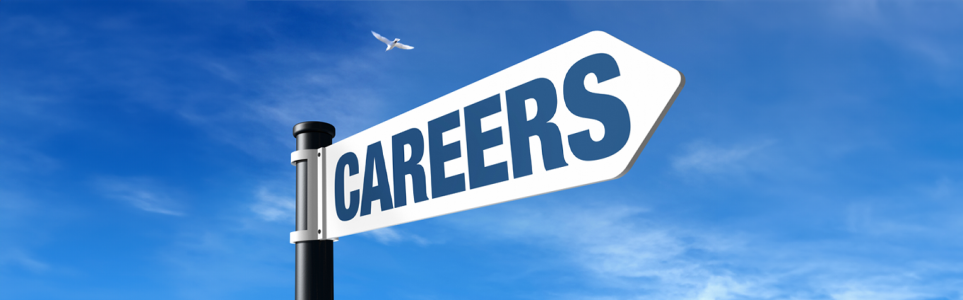 ICB Group current opportunities banner 2
